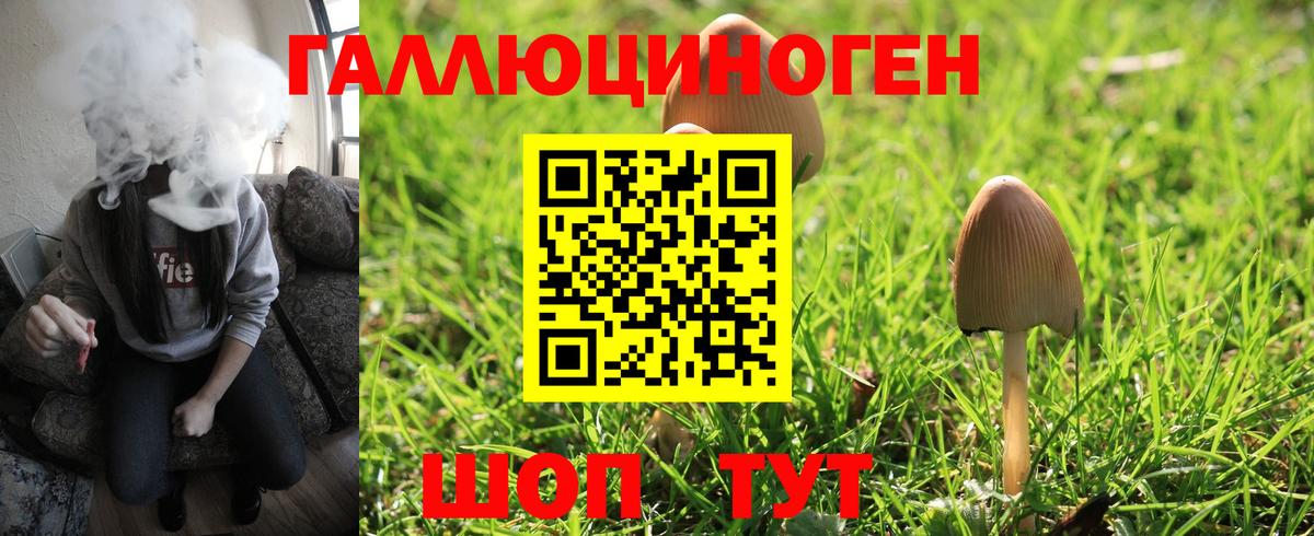 Галлюциногенные грибы Psilocybe  Вход с VPN  Серпухов 